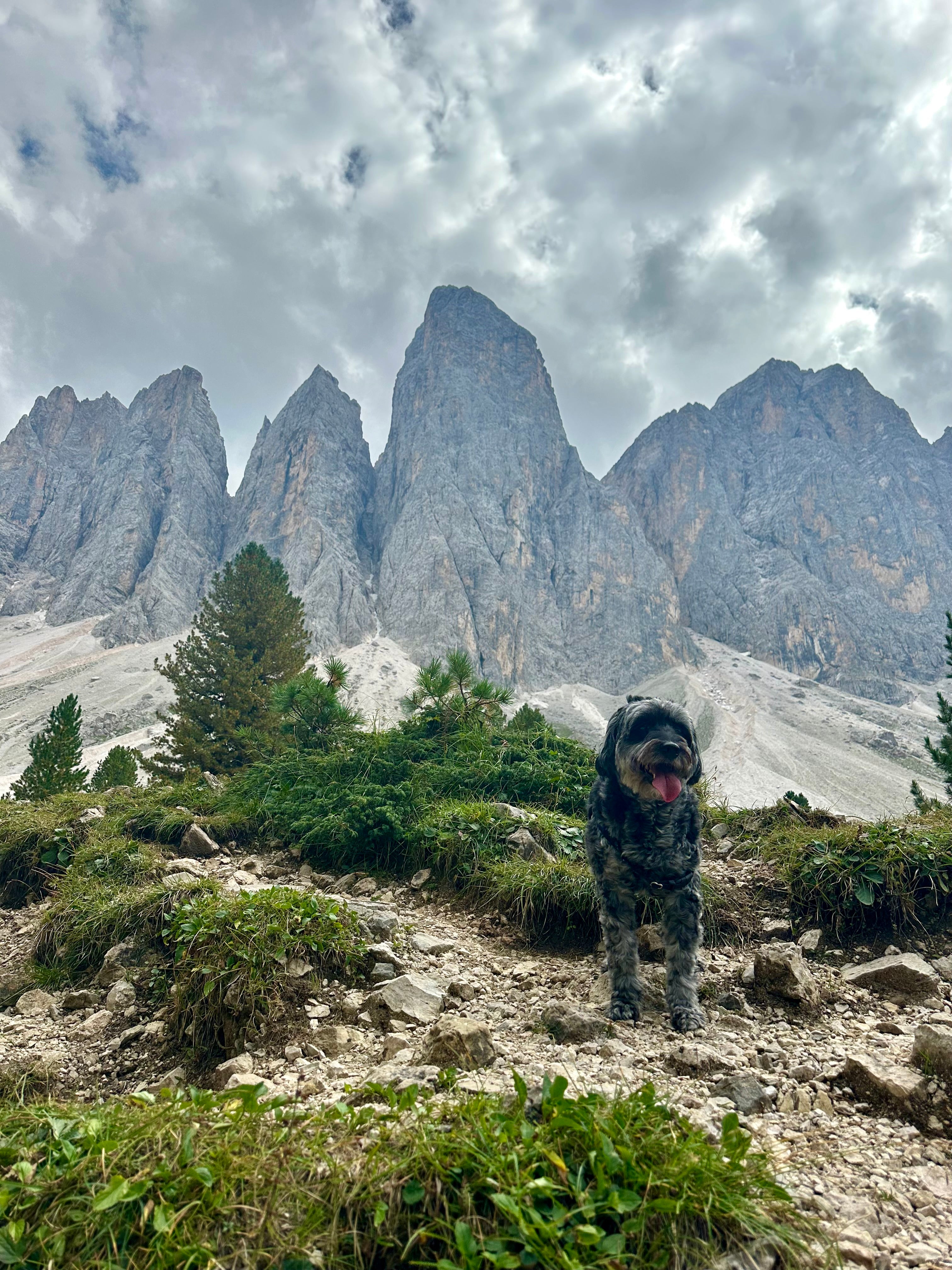 Milky in the Dolomites, Italy