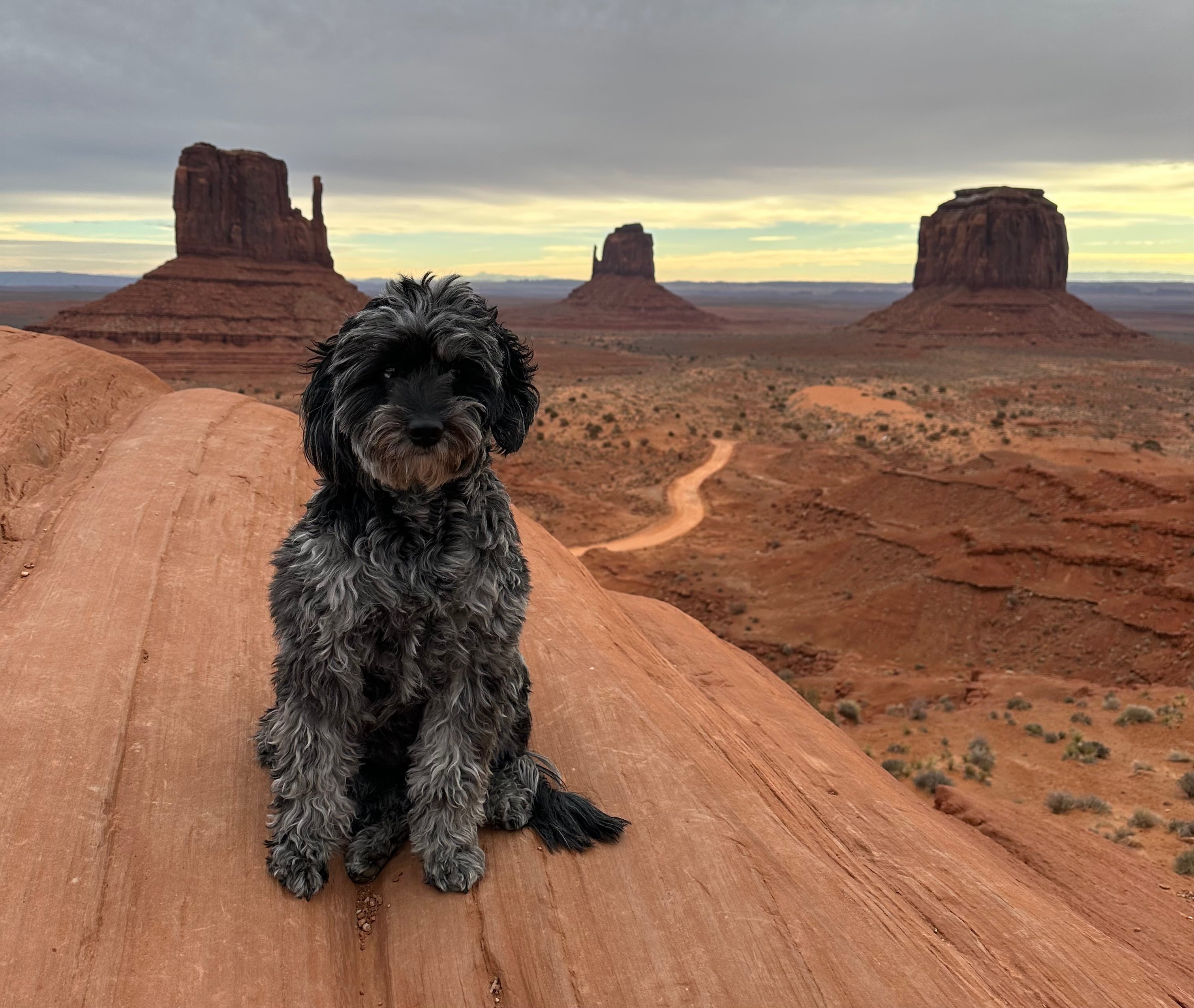 Milky at Monument Valley